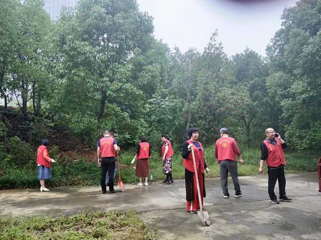 15vip太阳成集团古天乐