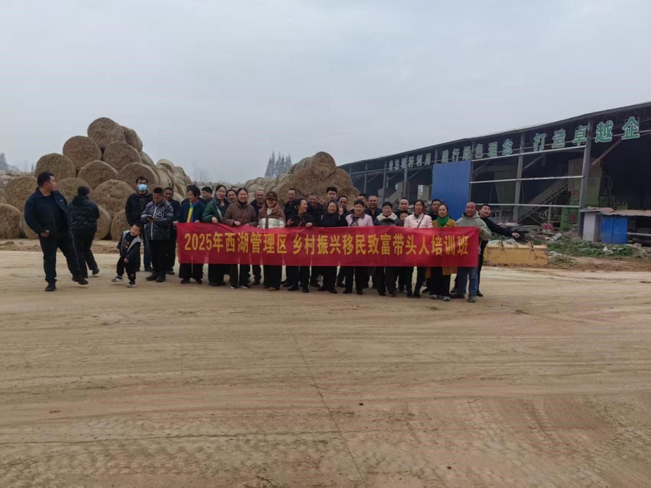 15vip太阳成集团古天乐